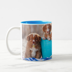 Eimer Welpen auf dem Strand Zweifarbige Tasse
