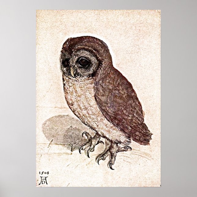 Ein 500 Jahre alter Zeichn Poster (Vorne)
