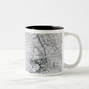 Ein Abschnitt eines Blattes von der Übersicht Zweifarbige Tasse