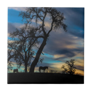 Ein Abstecher in die Geschichte des Roten Meeres Fliese