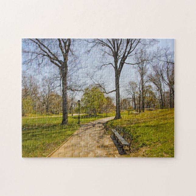 Ein Abstraktes Foto von Central Park New York. (Horizontal)