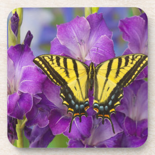 Ein Admiralfalter auf violetten Gladiolen Getränkeuntersetzer