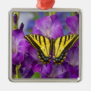 Ein Admiralfalter auf violetten Gladiolen Ornament Aus Metall