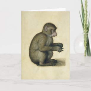 Affe Zeichnen Geschenke Zazzle Ch