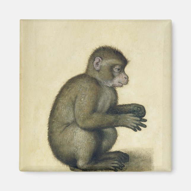 Ein Affe Magnet (Vorne)