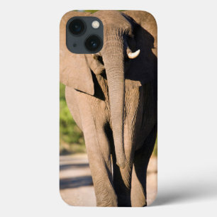 Ein Afrikanischer Elefant (Loxodonta Africana) geh Case-Mate iPhone Hülle