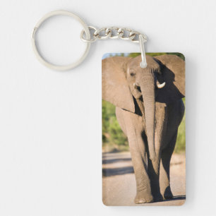 Ein Afrikanischer Elefant (Loxodonta Africana) geh Schlüsselanhänger