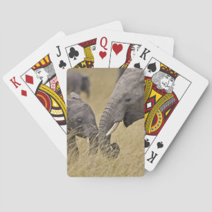 Ein afrikanischer Elefant weidet auf den Feldern Spielkarten