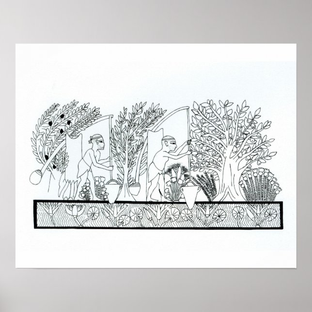 Ein alter ägyptischer Garten (Gravur) (b/w Foto) Poster (Vorne)