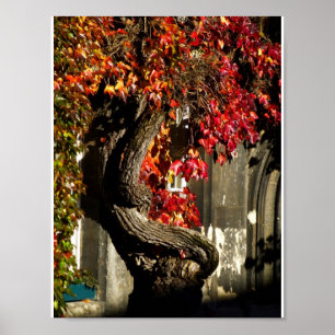 Ein altes Wesen Poster