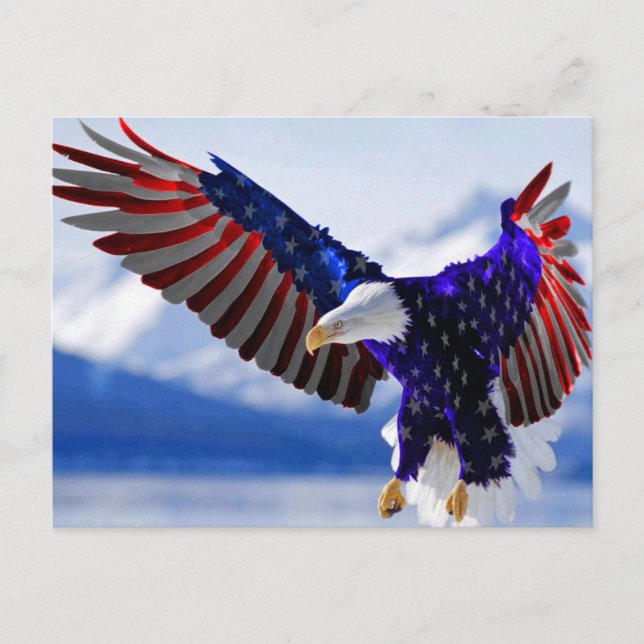 Ein amerikanischer Adler Postkarte (Vorderseite)
