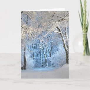 ein anderes Winterwunderland Feiertagskarte