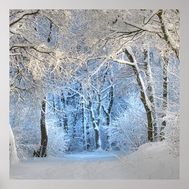 ein anderes Winterwunderland Poster (Vorne)