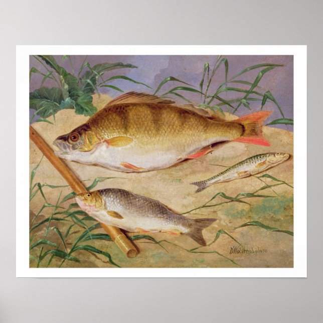 Ein Anglerfisch (Öl auf Tafel) Poster (Vorne)