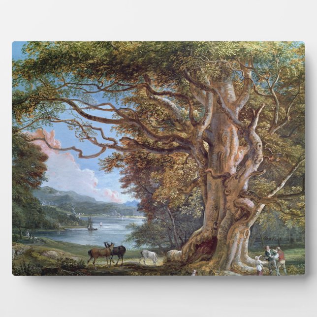 Ein antiker Buchenbaum, 1794 (Öl auf Leinwand) Fotoplatte (Vorderseite)
