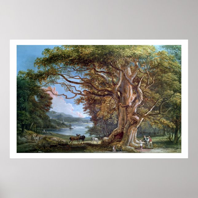 Ein antiker Buchenbaum, 1794 (Öl auf Leinwand) Poster (Vorne)