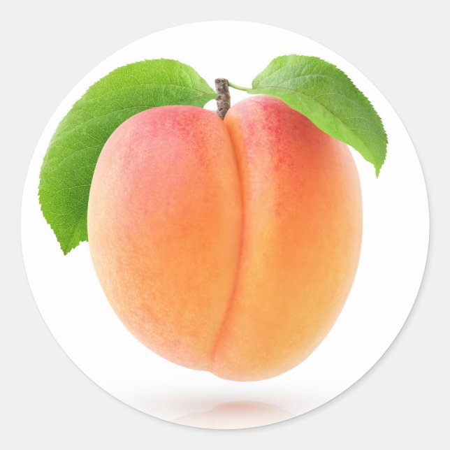 Ein Aprikose Runder Aufkleber (Vorderseite)