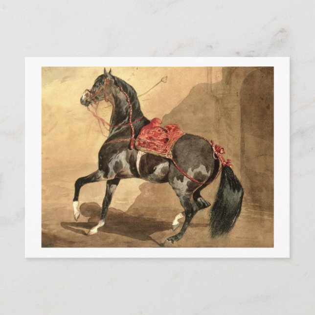 Ein Arabisches Pferd (g/c auf Papier gelegt) Postkarte (Vorderseite)