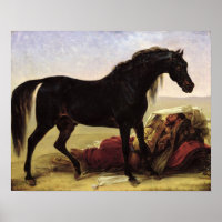 Ein arabisches Pferd