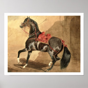 Ein arabisches Pferd (w/c niedergelegt auf Papier) Poster