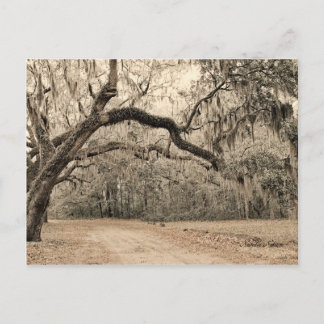 Ein Arch-Oakes-Postkarte Postkarte