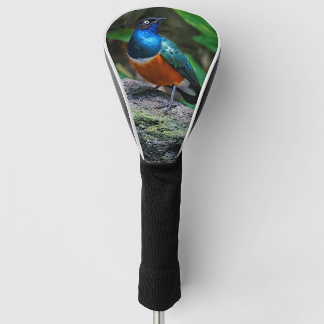 Ein Atemberaubender afrikanischer Superstar Golf Headcover (Vorderseite)