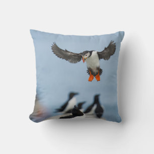 EIN ATLANTISCHES PUFFIN, DAS MIT SEINEM WAND IN LA KISSEN