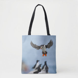 EIN ATLANTISCHES PUFFIN, DAS MIT SEINEM WAND IN LA TASCHE
