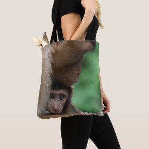 Ein Baby-Macaque und es sind Mutter Tasche