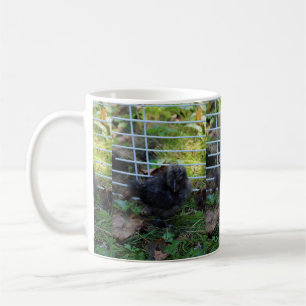Ein Baby Silkie Kaffeetasse