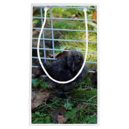 Ein Baby Silkie Kleine Geschenktüte