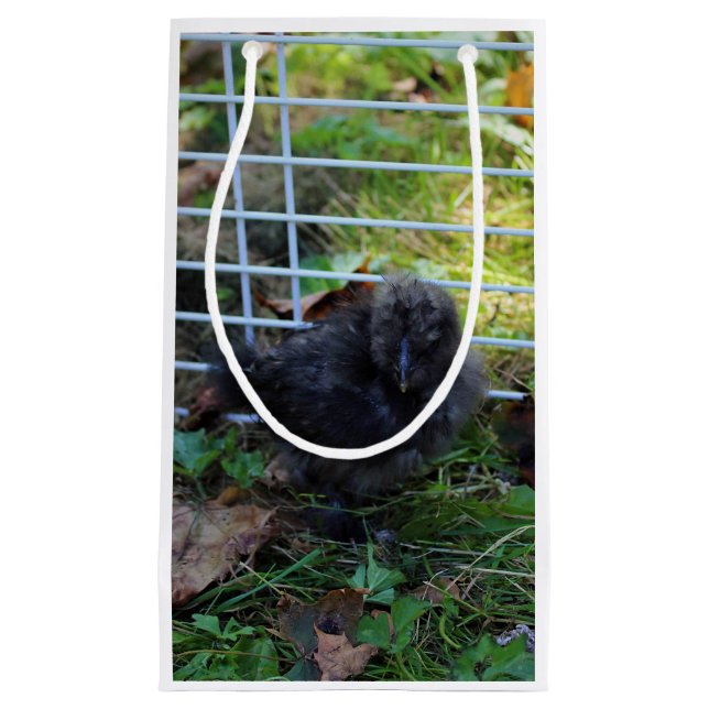 Ein Baby Silkie Kleine Geschenktüte (Vorderseite)