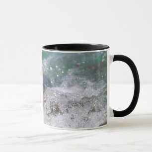 Ein Babyrobbe surft Tasse