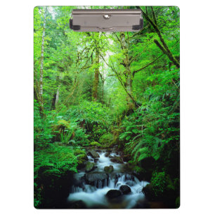 Ein Bach im Urwald Klemmbrett