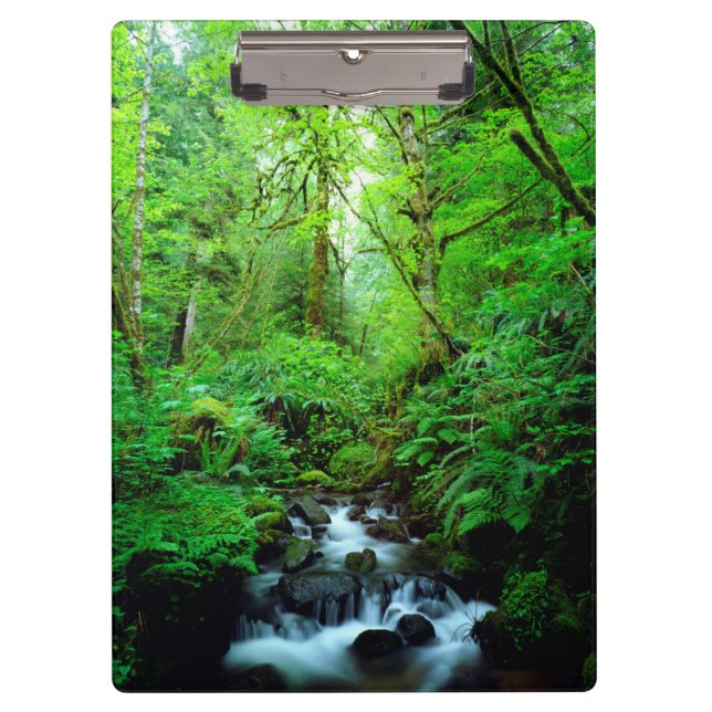 Ein Bach im Urwald Klemmbrett (Vorderseite)