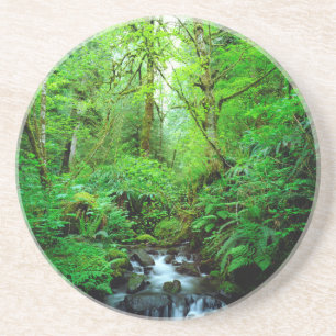 Ein Bach in einem Urwald Getränkeuntersetzer