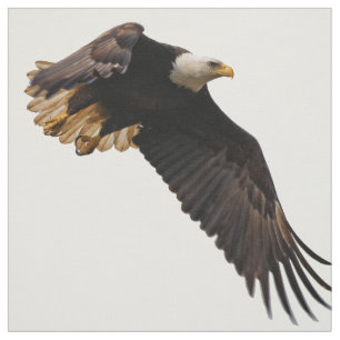 Ein Bald-Adler geht zum Himmel Stoff