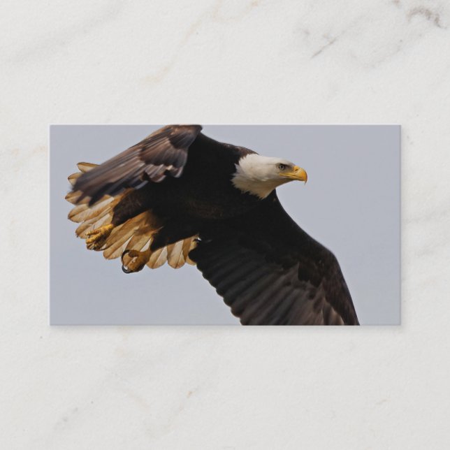 Ein Bald-Adler geht zum Himmel Visitenkarte (Vorderseite)