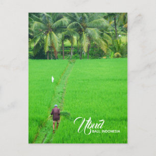 Ein Bauer in einem Reisfeld in Ubud, Bali, Indones Ankündigungspostkarte