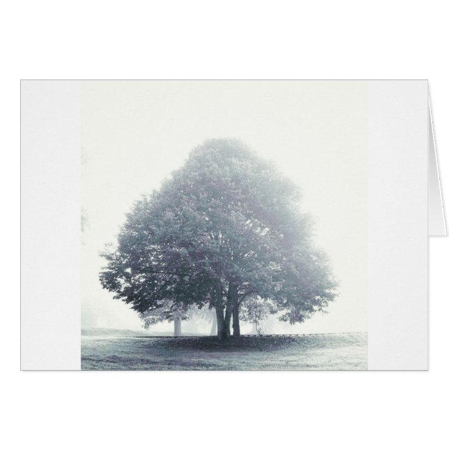 Ein Baum im Nebel (Vorderseite (Horizontal))