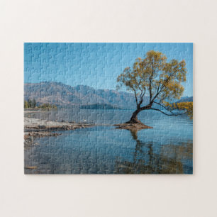 Ein Baum in einem See