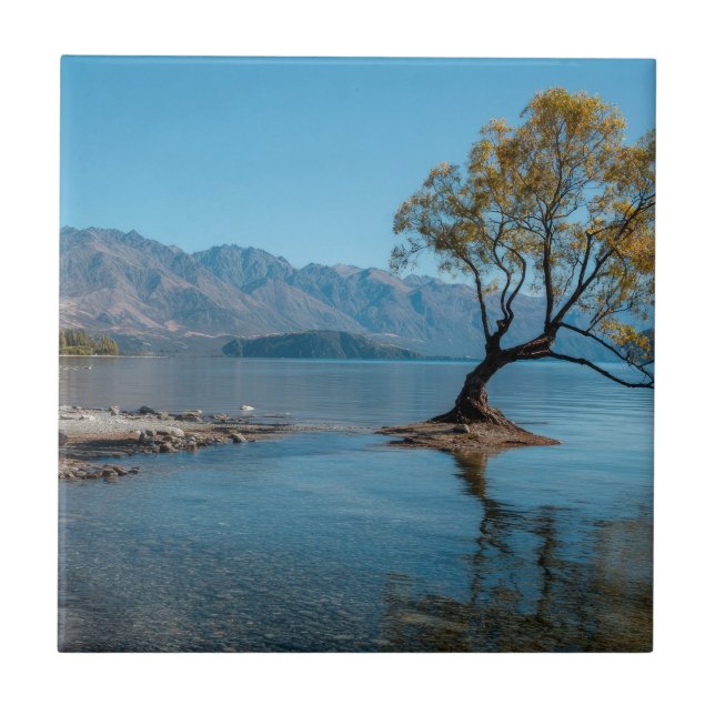 Ein Baum in einem See Fliese (Vorderseite)
