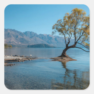 Ein Baum in einem See Quadratischer Aufkleber