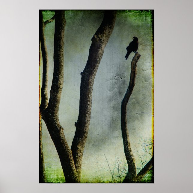 Ein Baum Poster (Vorne)