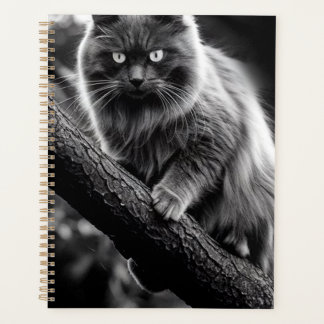 Ein beängstigender Blick auf eine Nachtkatze Planer