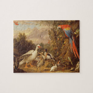 Ein Becken, Enten, Papageien und andere Vögel in