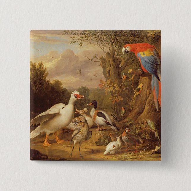 Ein Becken, Enten, Papageien und andere Vögel in e Button (Vorderseite)