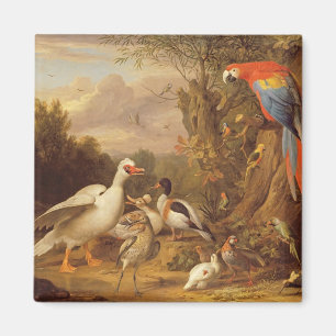 Ein Becken, Enten, Papageien und andere Vögel in  Magnet