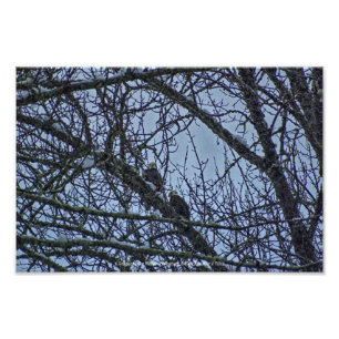 Ein Begleiter für den Winter Fotodruck