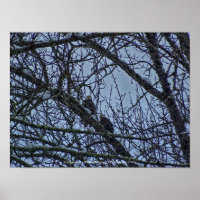 Ein Begleiter für den Winter